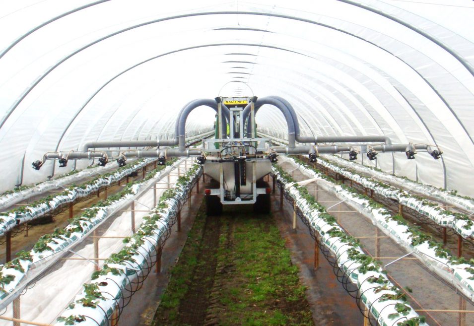 NPS Table Top Strawberry Sprayer NP Seymour Purveyors of high quality Agricultural Machinery