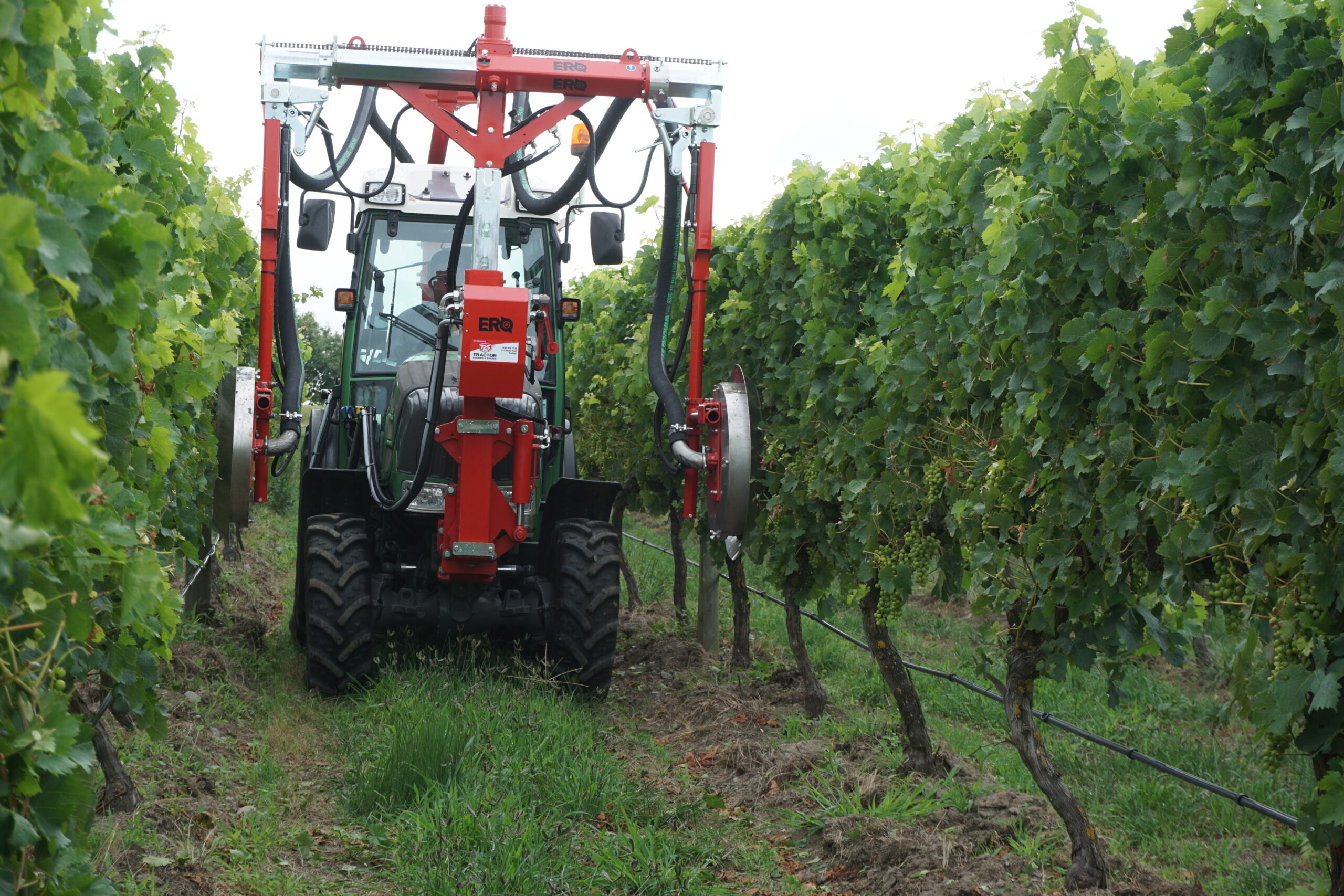 Deleafer Opening up the canopy with mechanical deleafers - NP Seymour